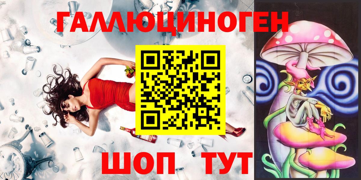 Псилоцибиновые грибы Cubensis Старая Купавна
